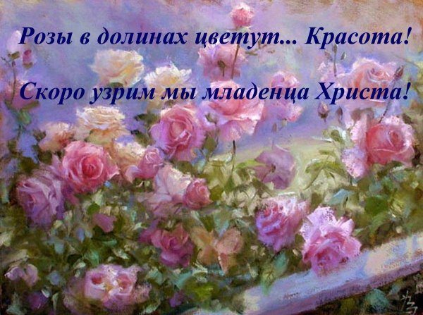 живопись розы