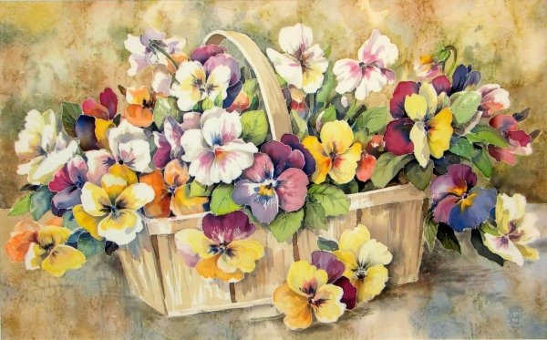 anne cotterill анютины глазки