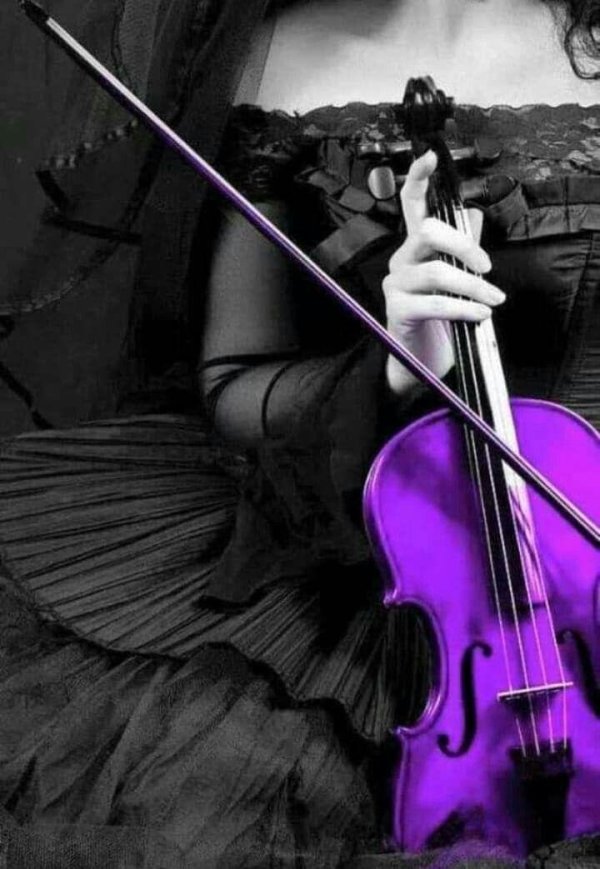 Скрипки с девушками