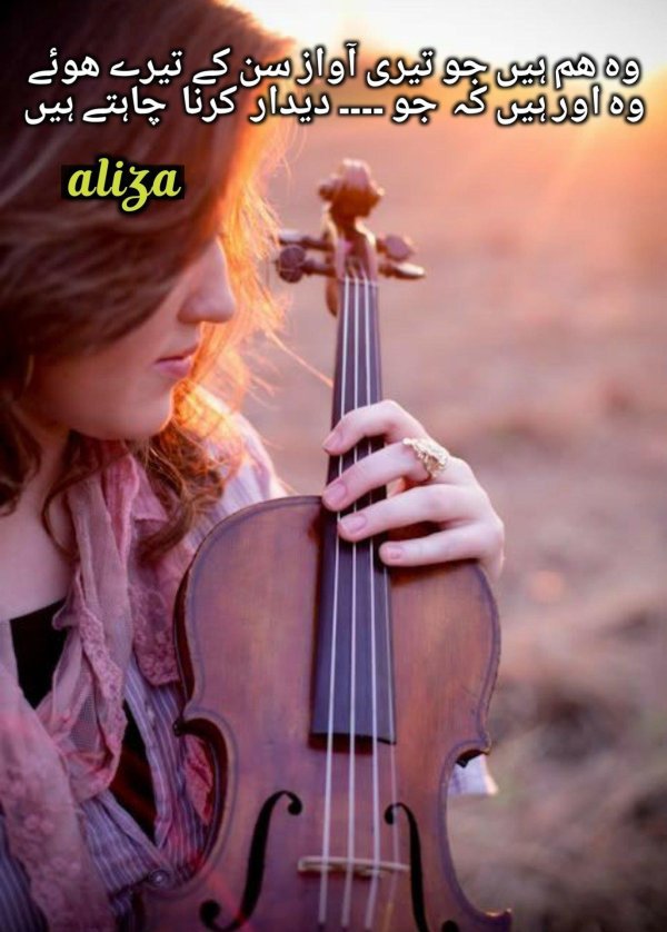 Скрипки с девушками