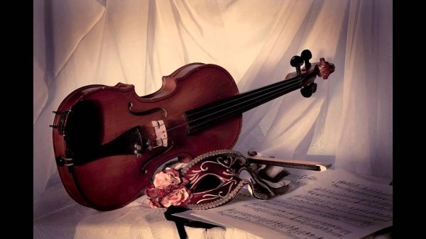 Скрипки с девушками