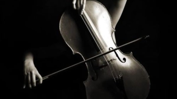 Скрипки с девушками