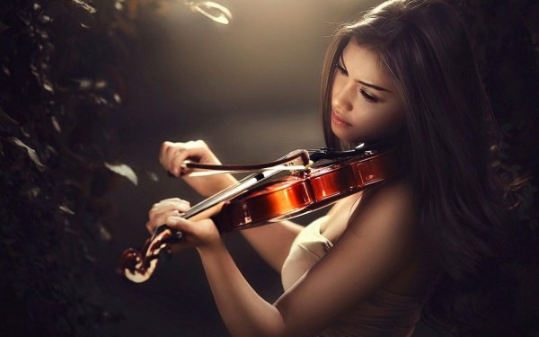 Скрипки с девушками