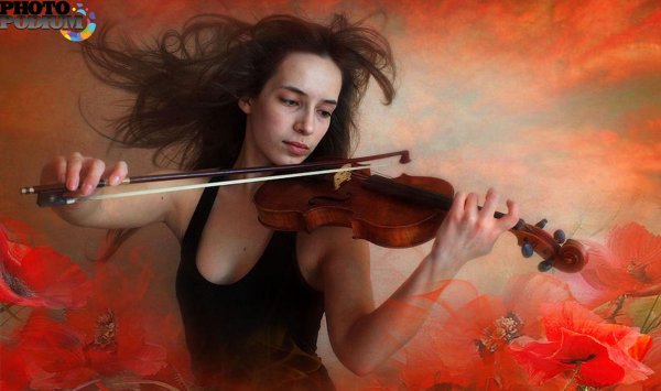 Скрипки с девушками