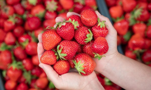 Девушка и клубника