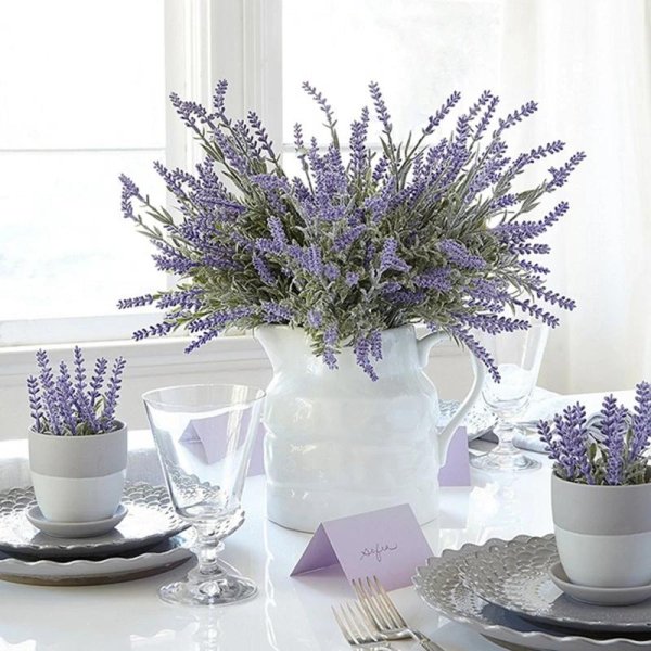 лаванда комнатная