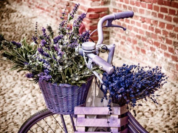 велосипед с цветами