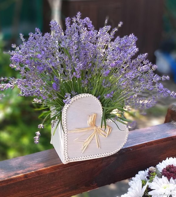 композиция из лаванды