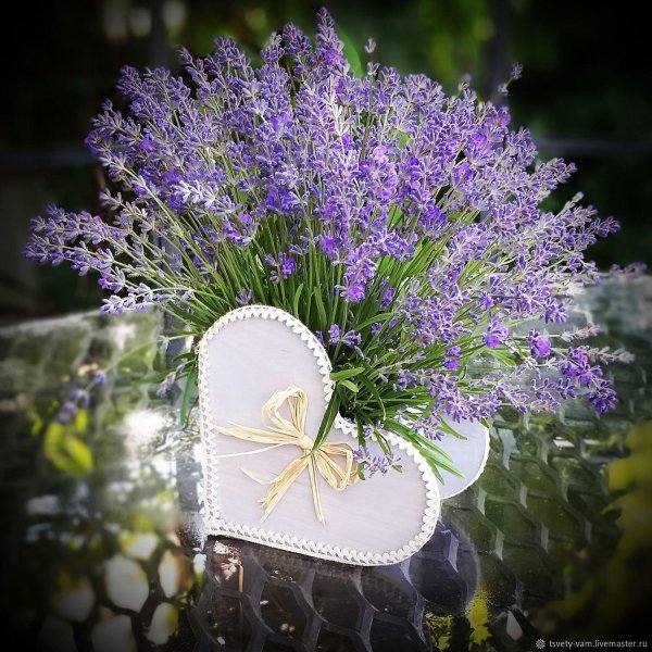 композиция из лаванды