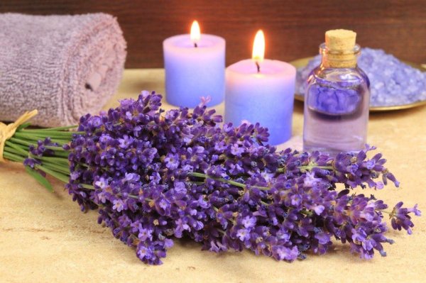 лавандовое масло