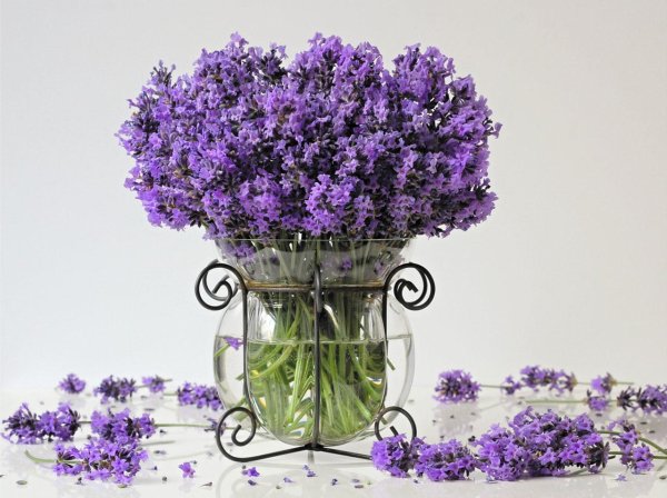 лавандовый букет