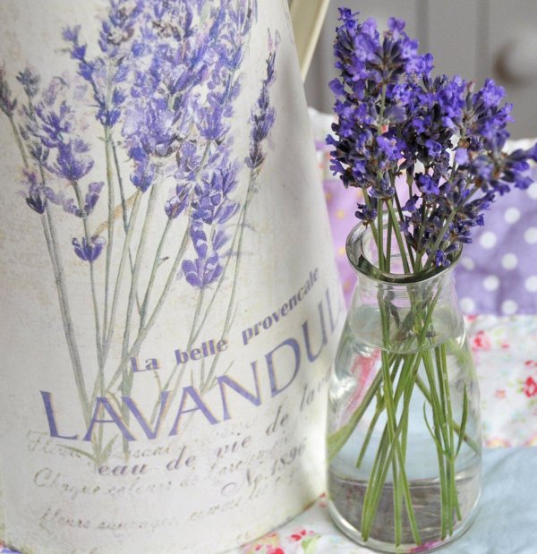 салфетки для декупажа лавандапрованс