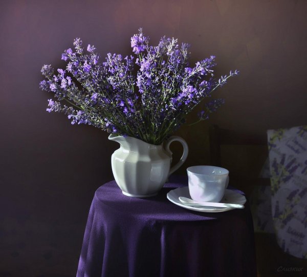 натюрморт с лавандой