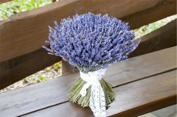 букетики лаванды