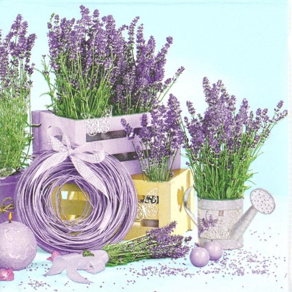 салфетки для декупажа лавандапрованс
