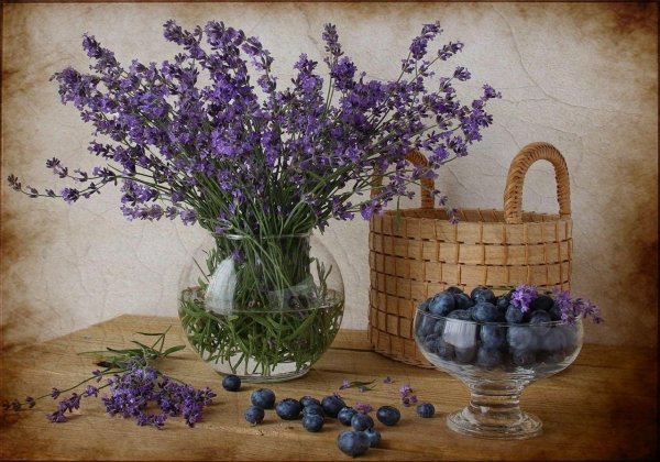 натюрморт с лавандой