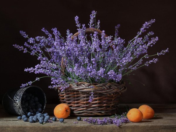 натюрморт с лавандой