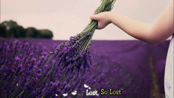 девушка с лавандой