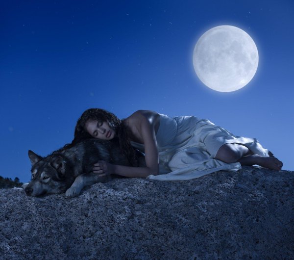 Девушка под луной