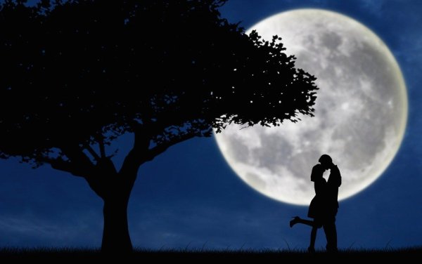 Девушка под луной