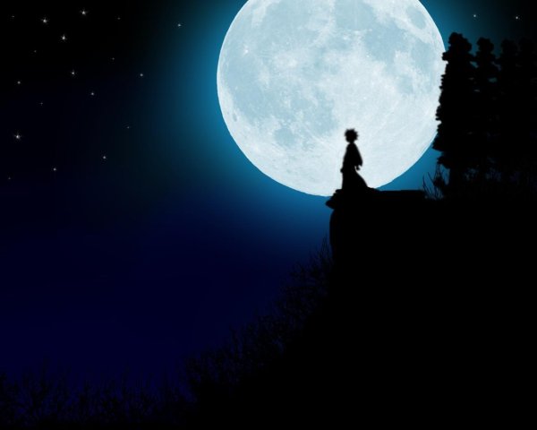 Девушка под луной