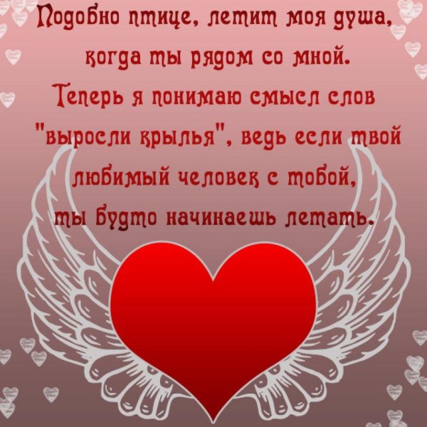 Девушка сверху парня