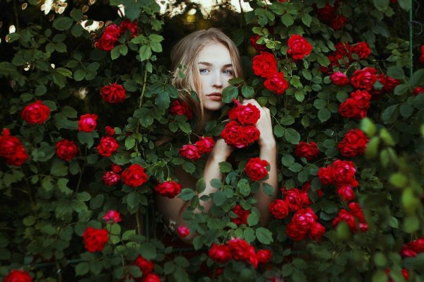 Девушка среди цветов