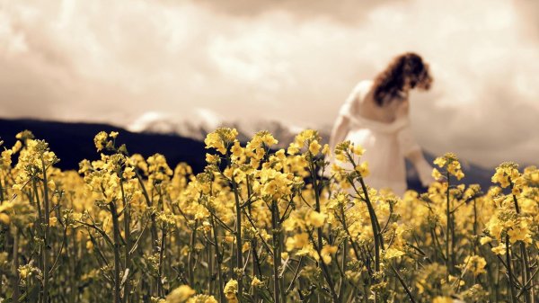 Девушка среди цветов