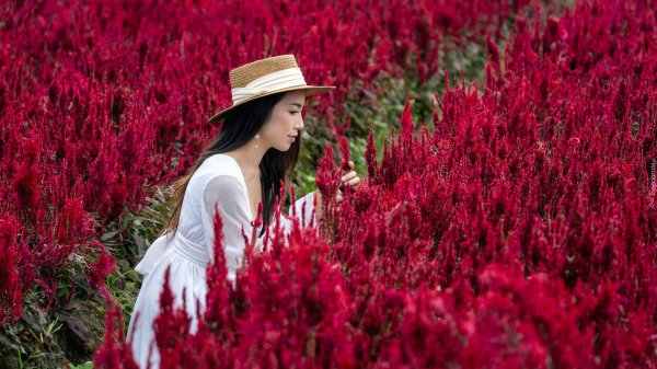 Девушка среди цветов