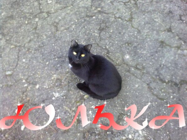 Самая девушка юля