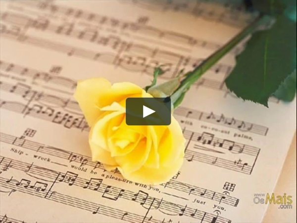 жёлтая роза