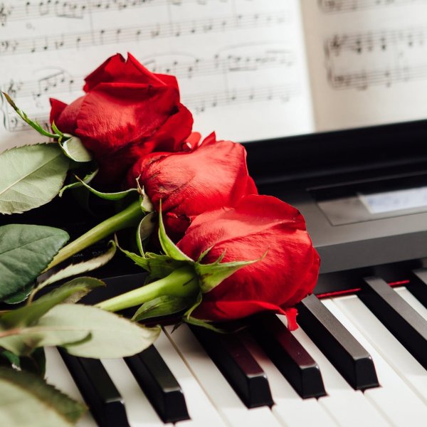 роза на пианино