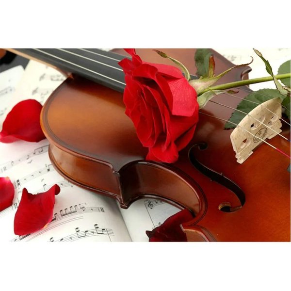 скрипка музыкальная