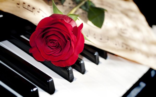 на фортепиано