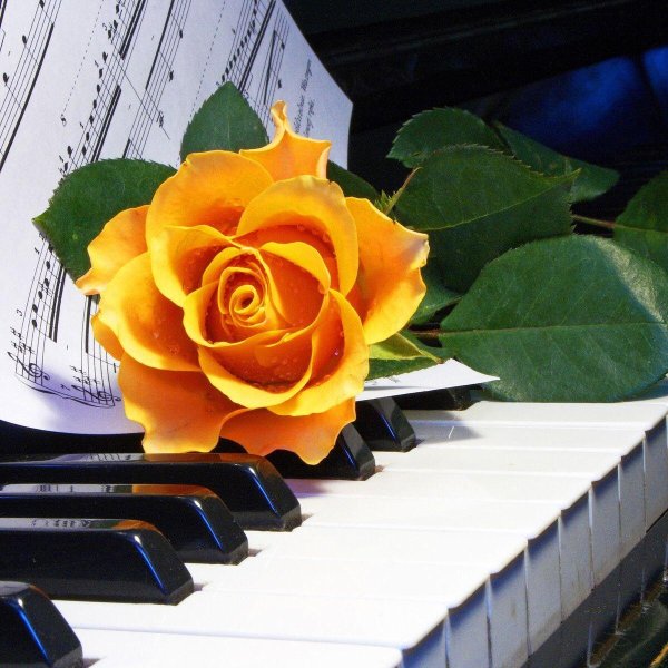 всемирный день фортепиано