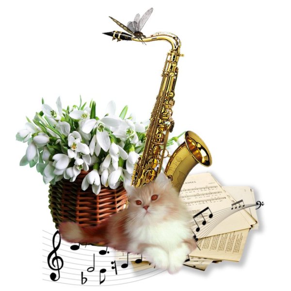 музыка саксофон