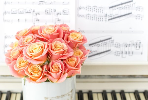 красивые розовые розы