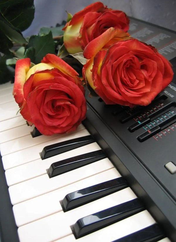 красивая музыка