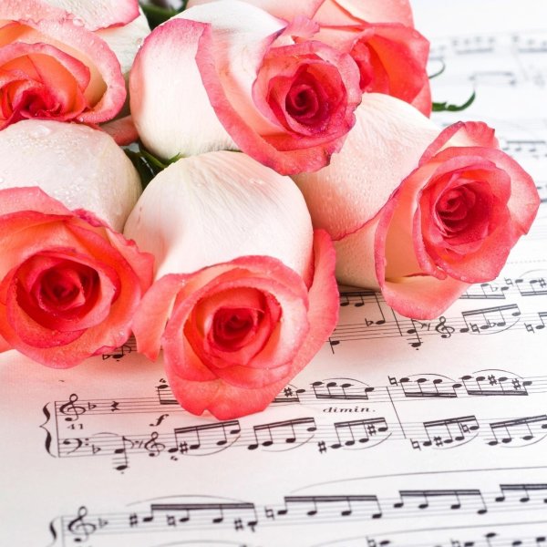 музыкальный букет