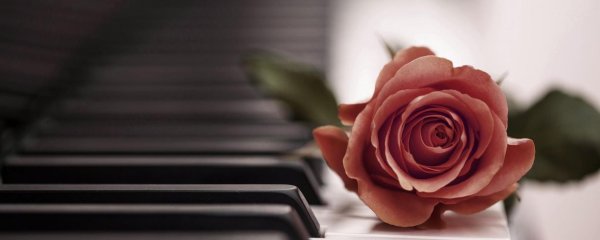 пианино с цветами