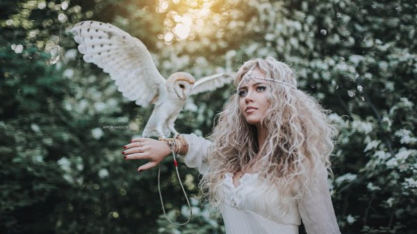 Совы с девушками