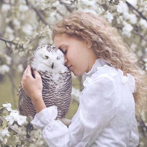 Совы с девушками