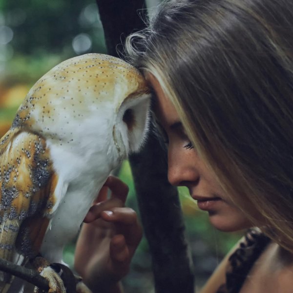 Совы с девушками