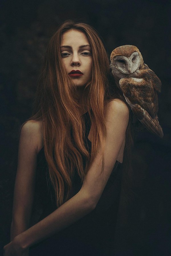 Совы с девушками