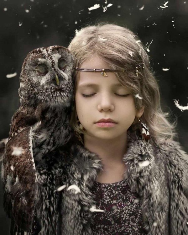Совы с девушками