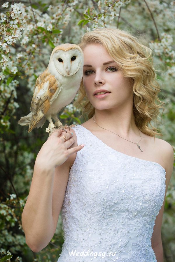 Совы с девушками
