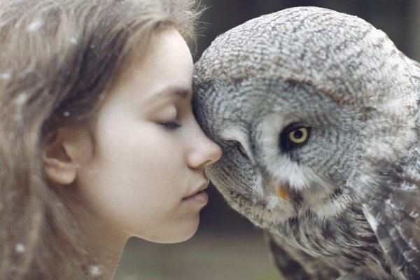 Совы с девушками