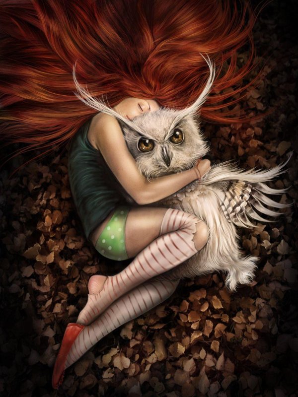 Совы с девушками