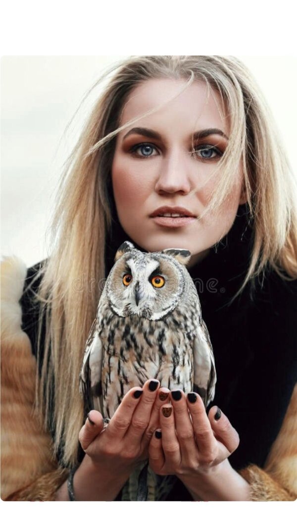 Совы с девушками