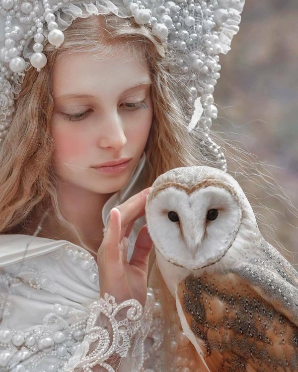 Совы с девушками